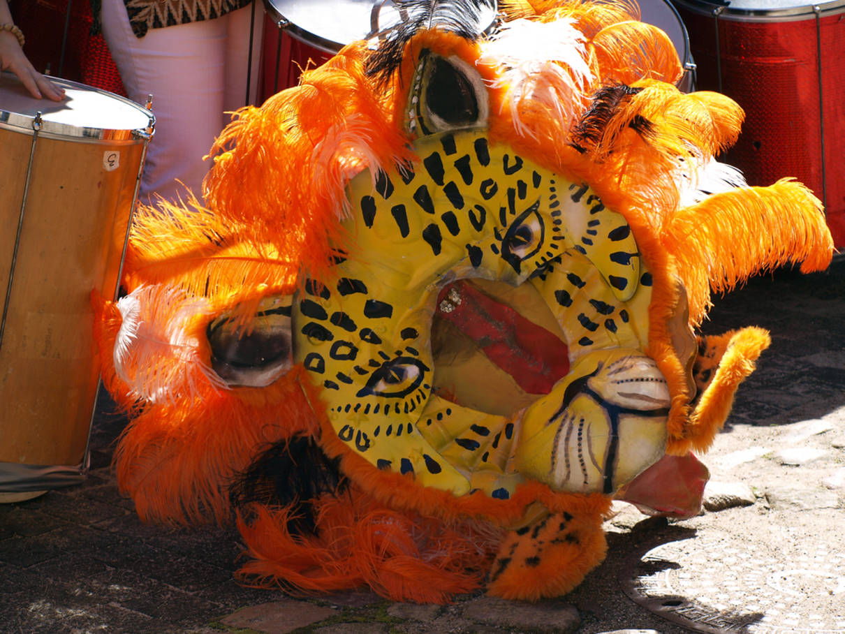 PicturesPool Samba Dance Samba Festival in brazil Rio de Janeiro