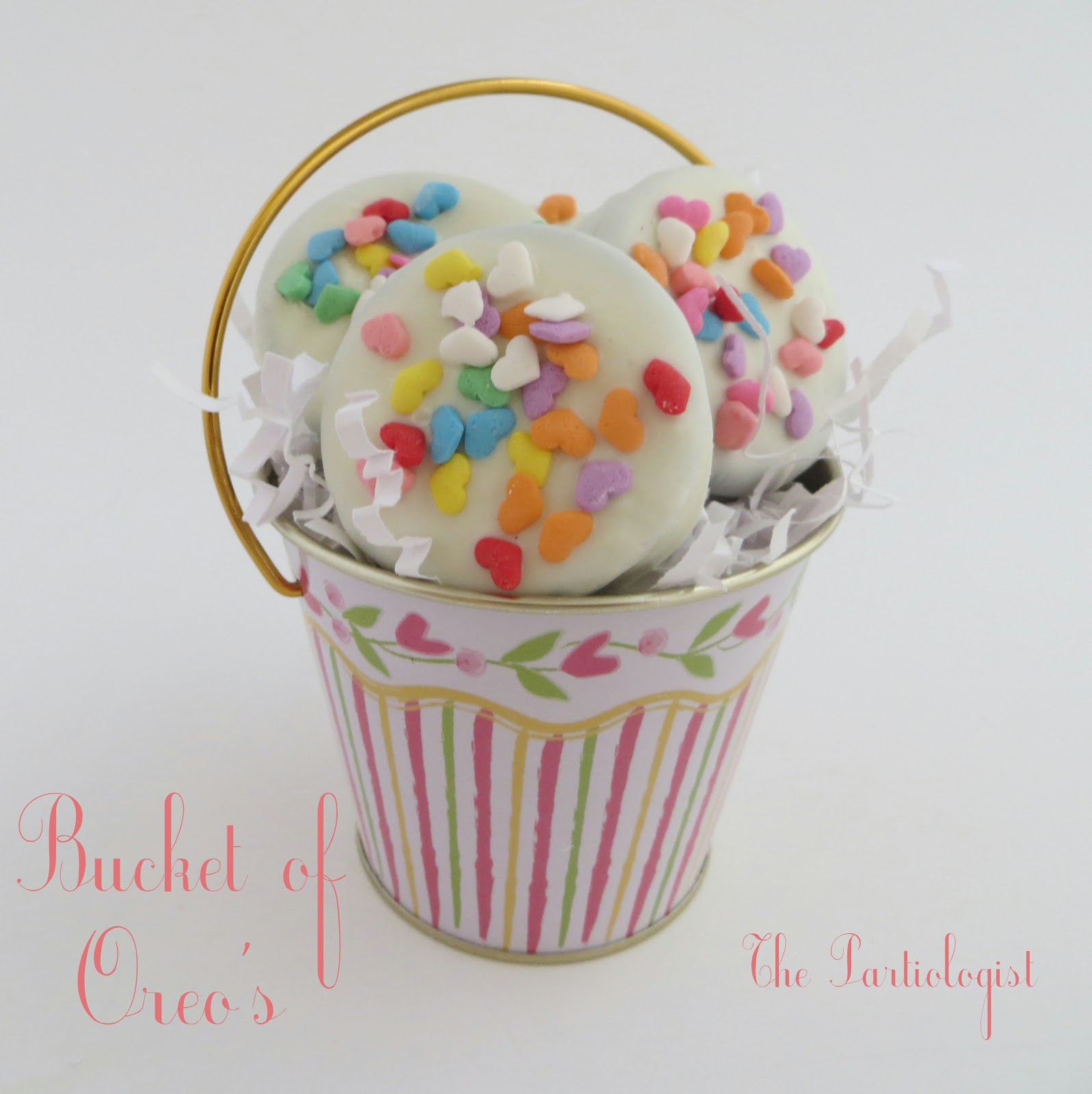 The Partiologist Bucket's of Love!