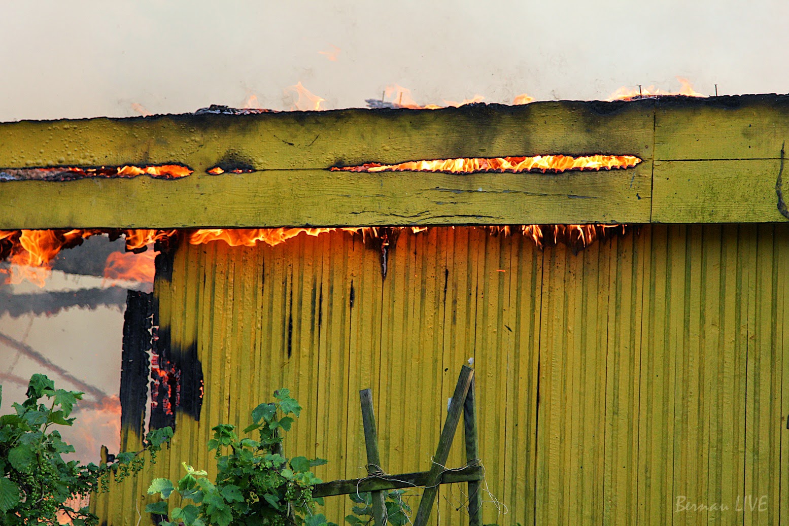 Bernau: Grosseinsatz der Feuerwehr - Bungalow Brand... 13 Bernau LIVE - Dein Stadtmagazin für Bernau bei Berlin