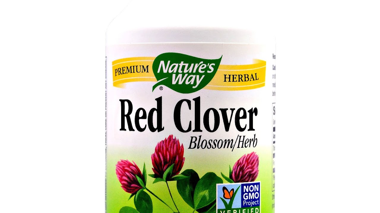 Red Clover For Menopause Menopause Choices