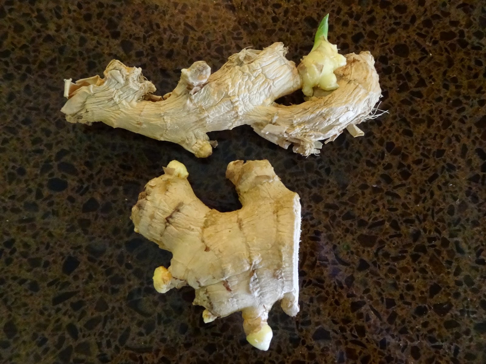 Rebecca's Texas Garden How to Plant Ginger