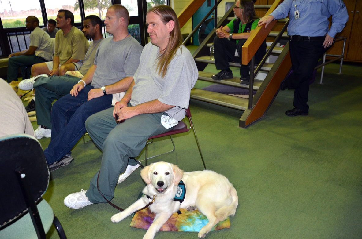 PRISON DOG PROGRAMS BRIDGES and PATHWAYS of COURAGE OSHKOSH