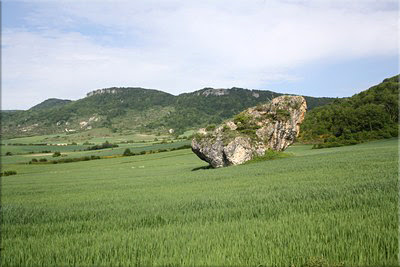 Gran roca en medio de un campo de labor