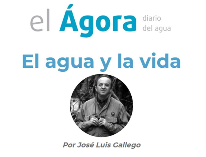 EL ÁGORA