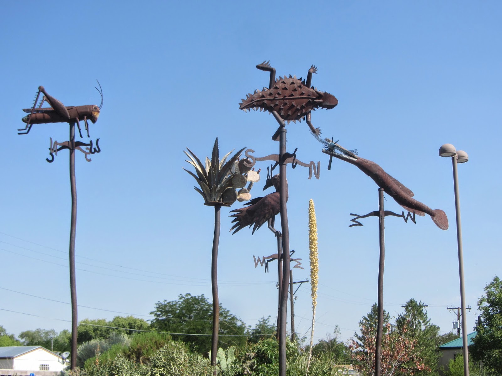 Sunshine Nomads Albuquerque New Mexico Botanical Gardens
