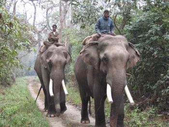 Chitwan National parks