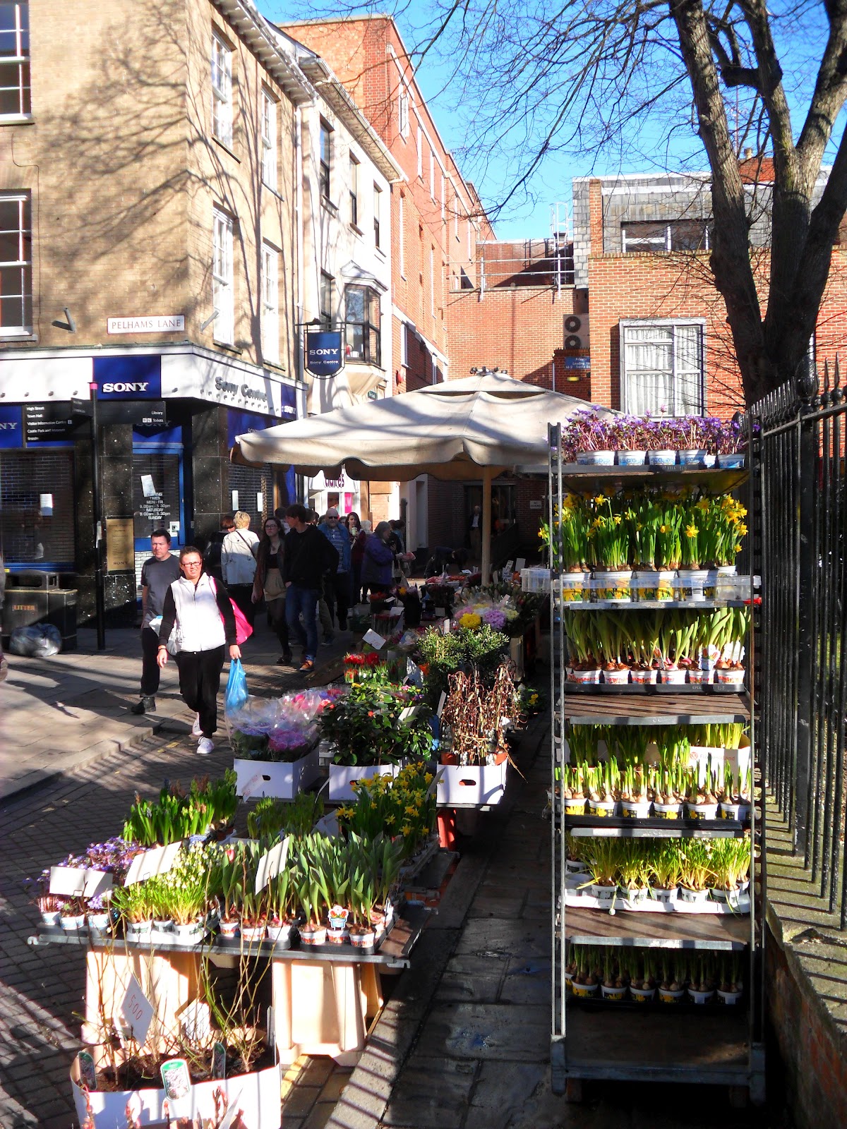 Our Frank Adventures Three Months in Colchester, Essex