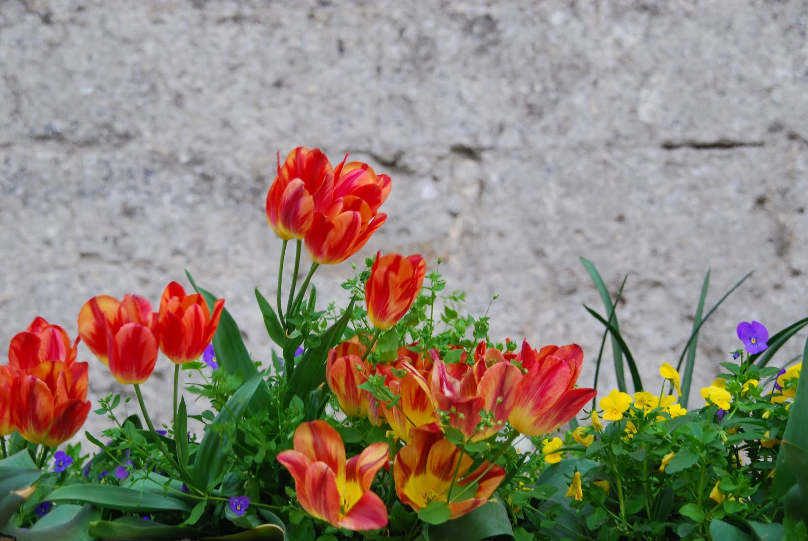 Mr. and Mrs. in PARIS French Wine Country Part Deux