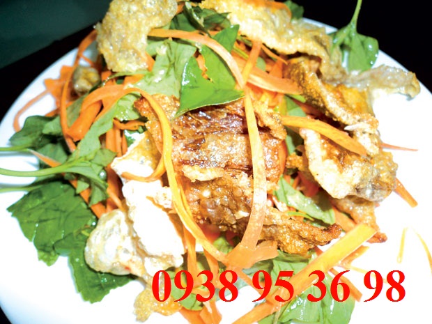 Cung cấp hải sản tươi sống, khô, ốc biển, nhum, cầu gai, da cá mập, da cá nhám, cá ngừ đại dương phi lê, thịt ốc mặt trăng, hàu điếu, ốc khế, ốc tỏi, ốc vú nàng, ốc giấy, ốc giấm,... giá rẻ