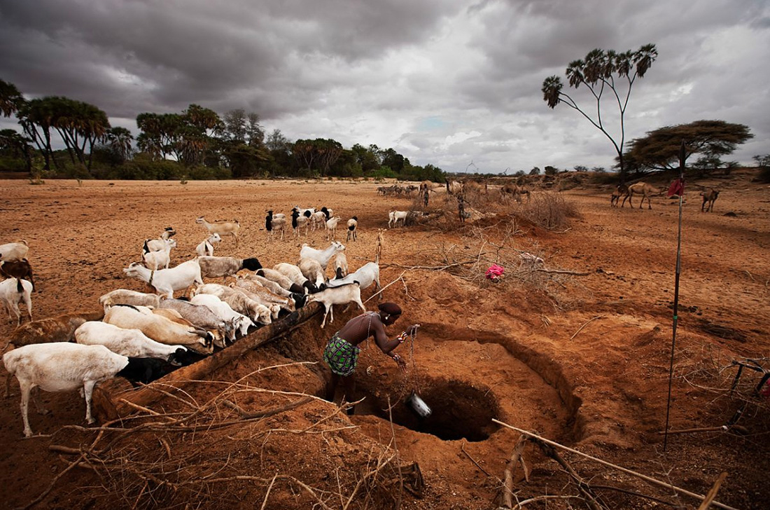 book transboundary water resources in the