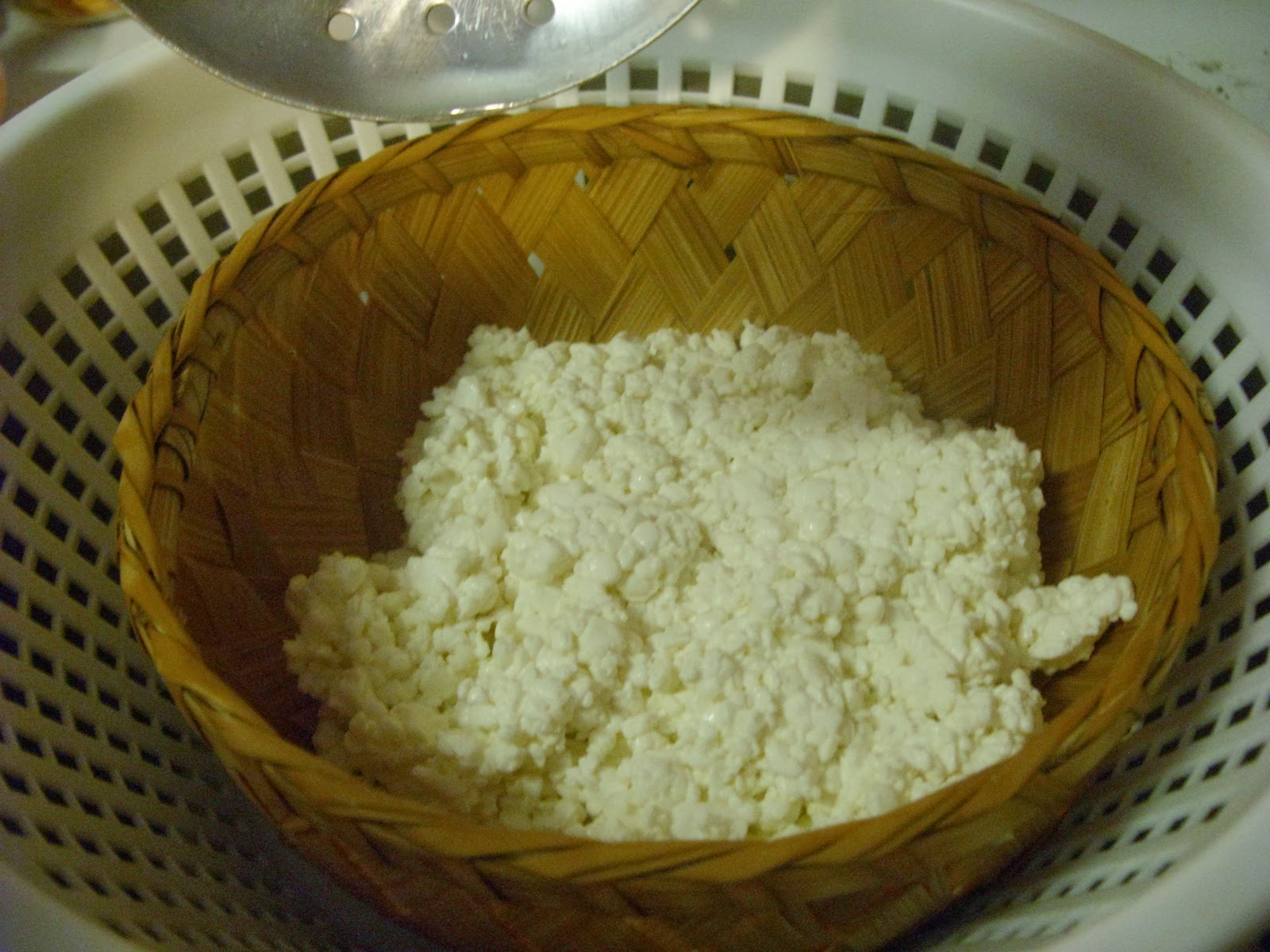 Medieval Cheese Forum Canestrato Italian Basket Cheese