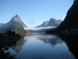 View of Milford Sound