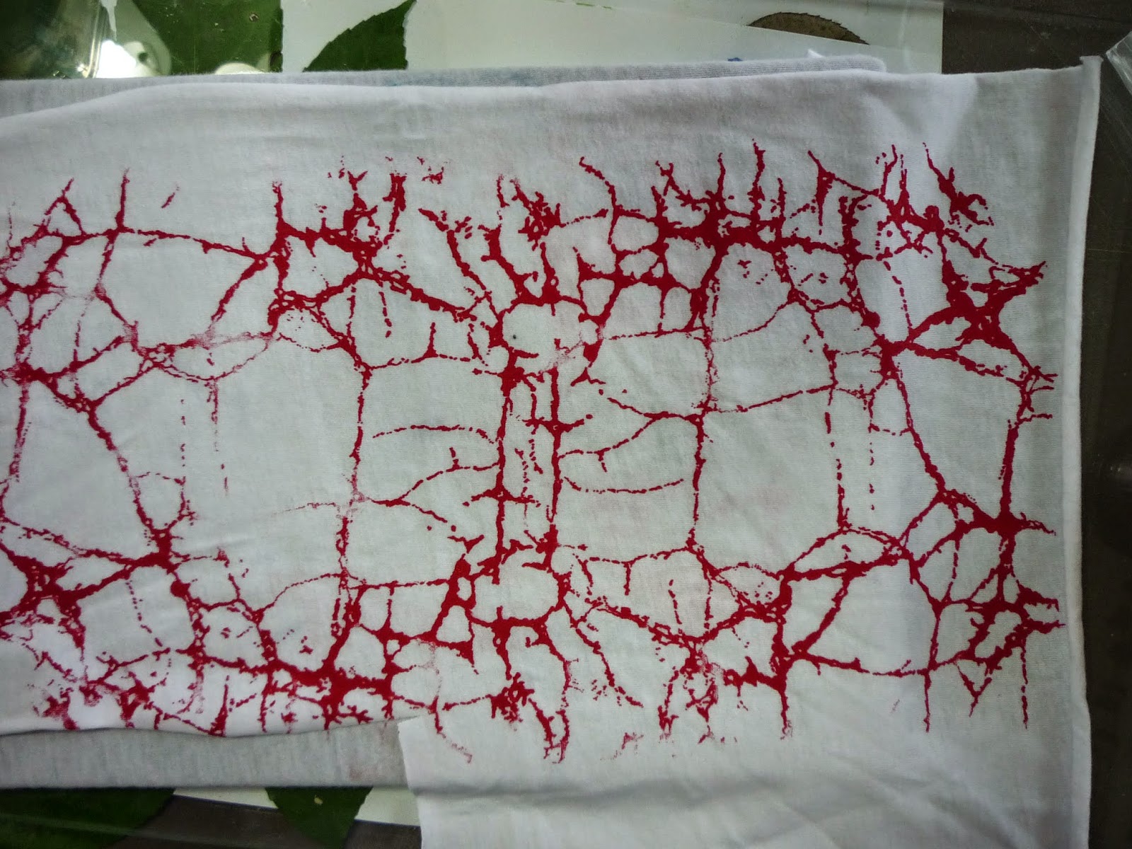 Carol Sloan Studios Screen Printing Fabric