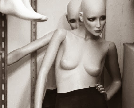 nuncalosabre.Mannequin Photography and Collage - Eleanor