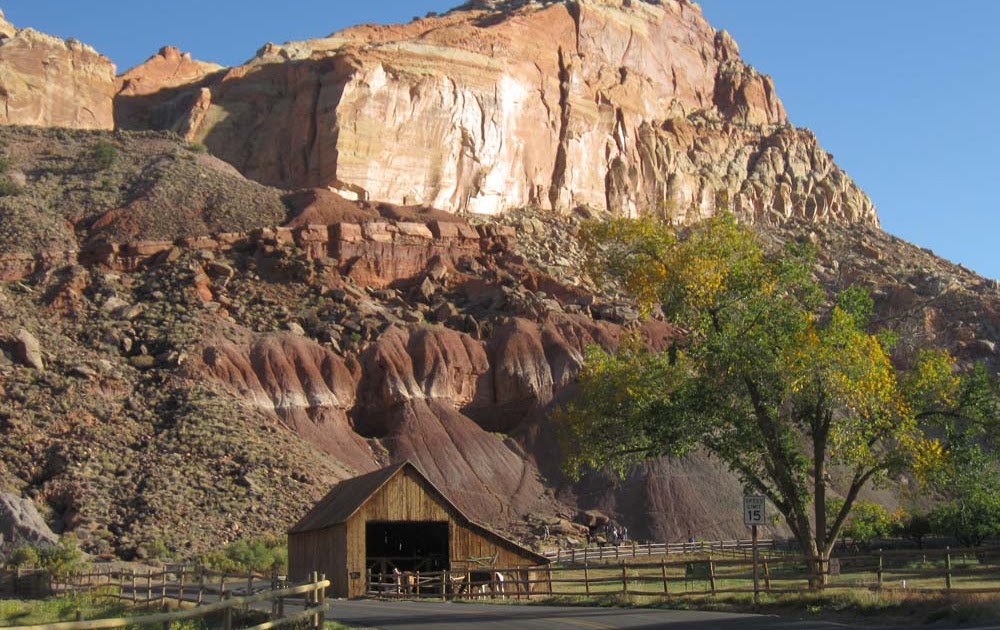 Ogden Insights Things to Do In Utah Capitol Reef