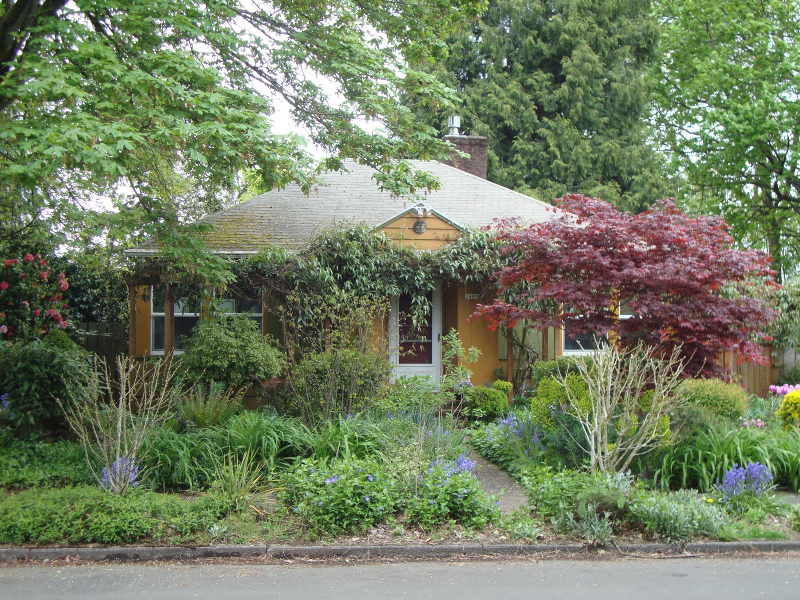 danger garden Planted with wild abandon!
