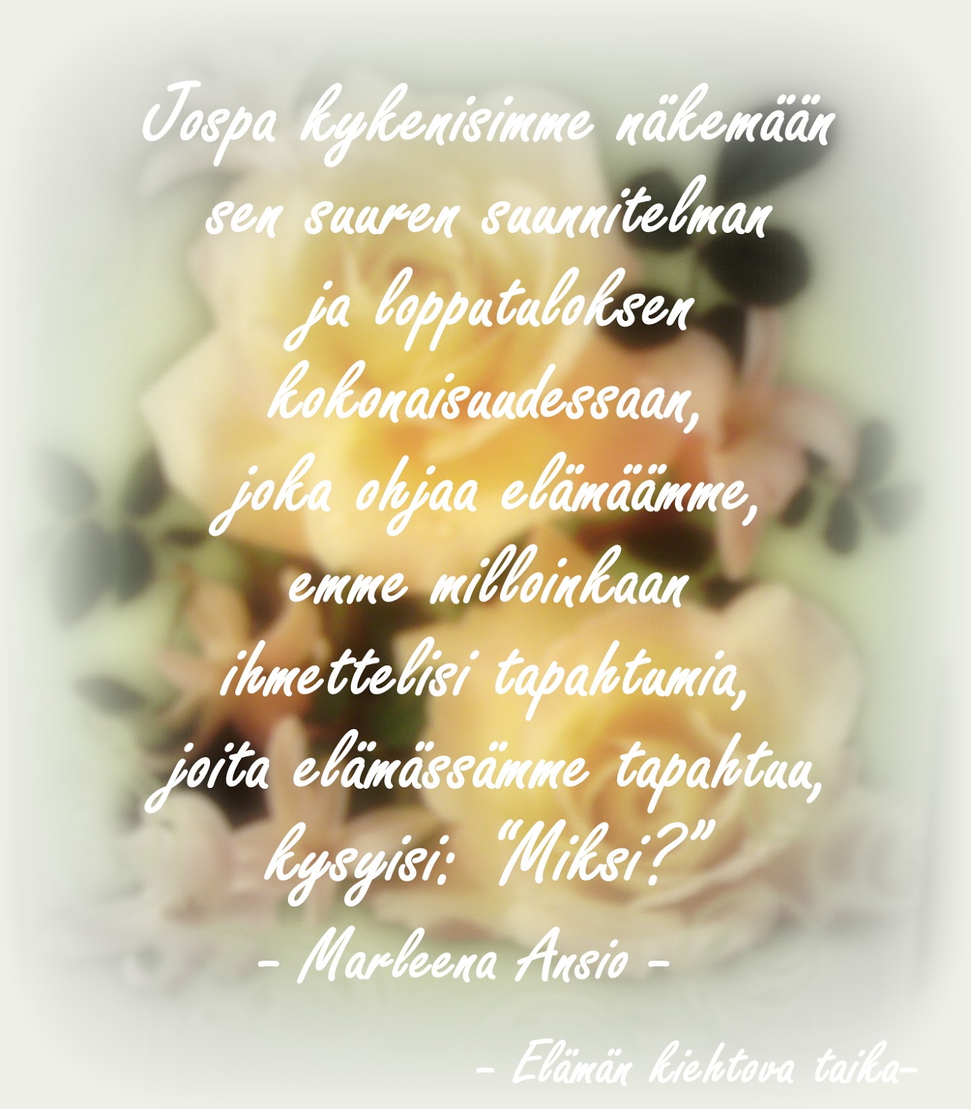 huora espoo nalle puh mietelauseet ystävyys huora espoo nalle puh mietelauseet ystävyys