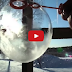 Blowing Bubbles In The Cold Seems Impossible...But The Results Are Incredible