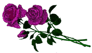 %D9%88%D8%B1%D8%AF%D8%AA%D9%8A%D9%86+%D9%85%D9%88%D9%81.gif