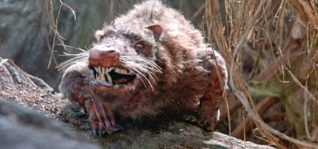 Mundo Tentacular: Roedores Terríveis: O Rato Gigante do Sumatra
