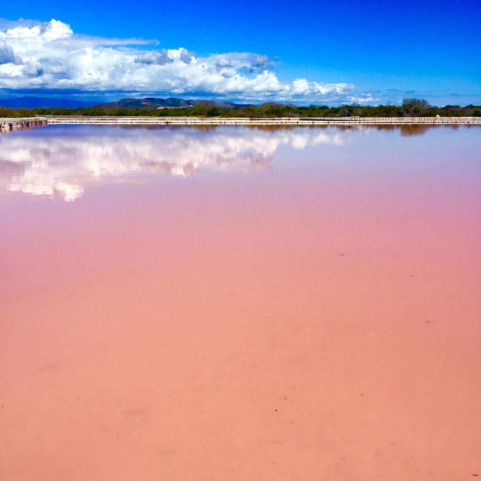 PINK WATER IN PUERTO RICO My Darling Passport