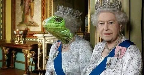 The Queen's Silky Lined Gusset