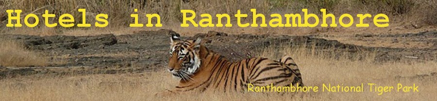 Hotel in Ranthambhore | Ranthambhore Hotels | Ranthambhore National Tiger Park