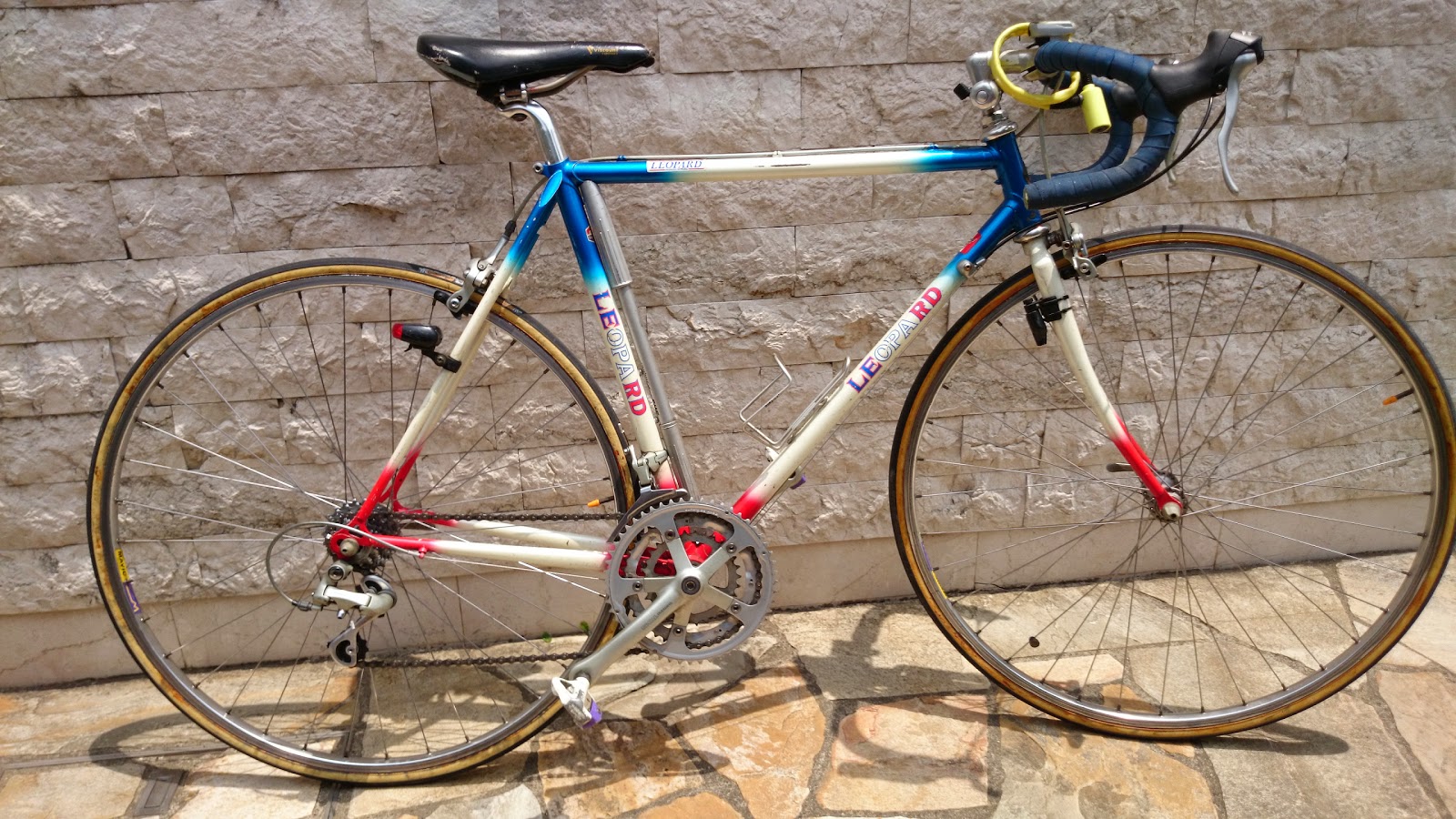 フレンド商会善福寺店オリジナル レオパード