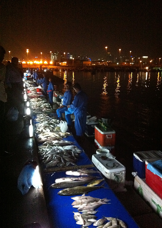 A Little Oryx in Qatar Evening fish market on the corniche