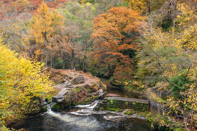 A bend in the Afon Mellte surrounded by autumn colour in the Brecon Beacons by Martyn Ferry Photography