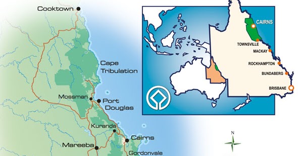 The Daintree Rainforest: Welcome to the World's Oldest Forest!