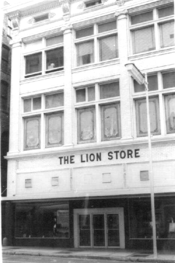 The Department Store Museum The Lion Store, Toledo, Ohio