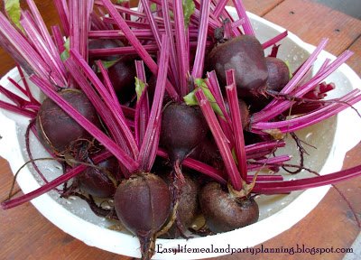Herb & Vegetable Garden through Raised Bed Gardening by Easy Life Meal & Party Planning - beets