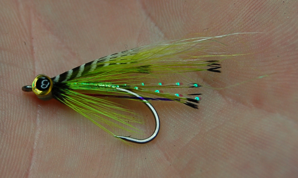 Foyle Trout & Salmon Flies Generic Salt water SeaTrout Flies