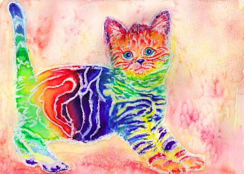 Rainbow Kitten