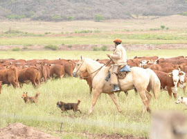 DÍA DE LA GANADERÍA 10 de Julio