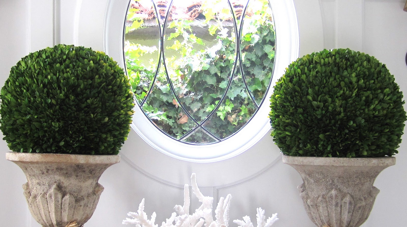 classic • casual • home Real vs Artificial House Plants