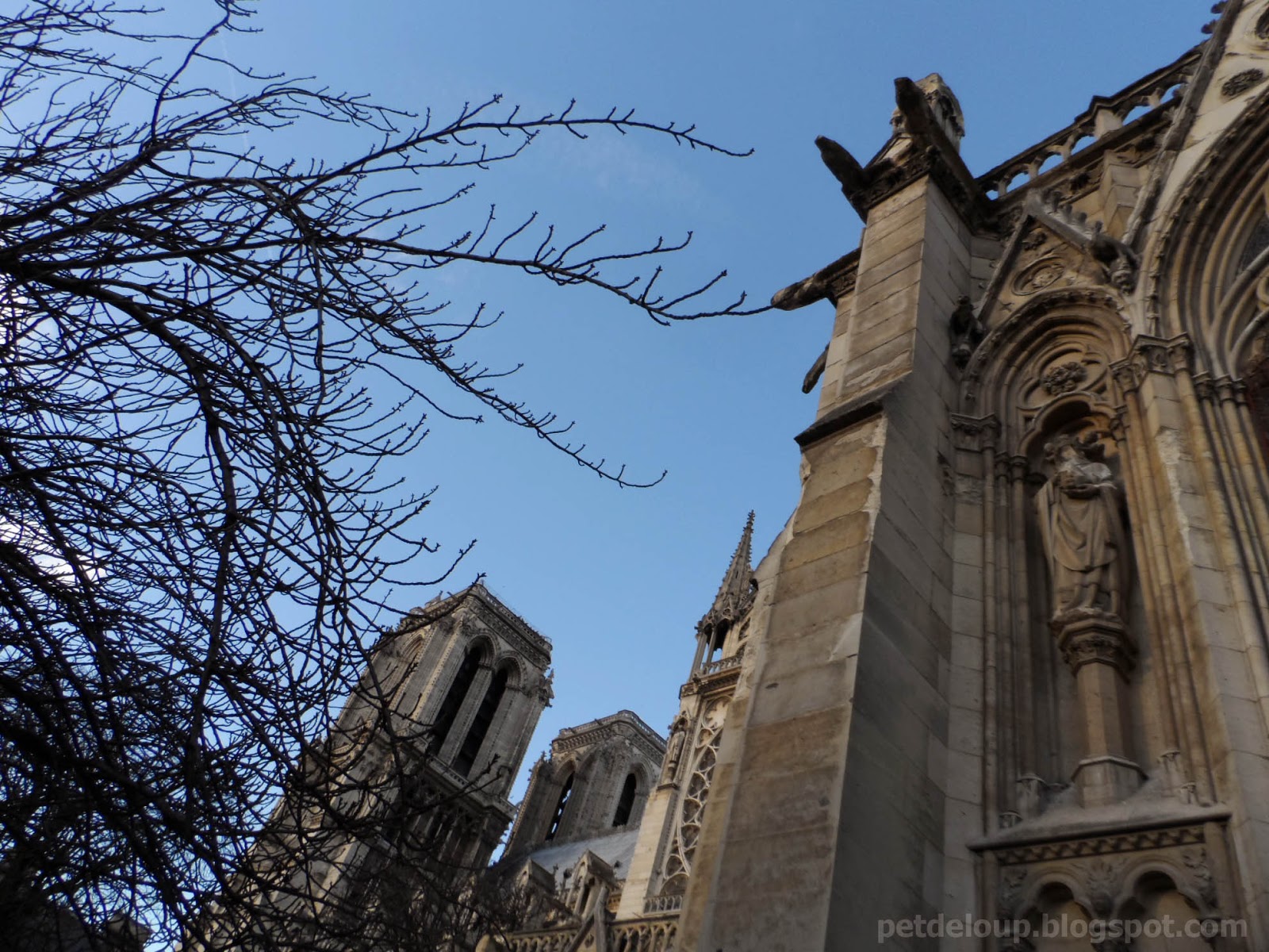 muñeco jorobado notre dame