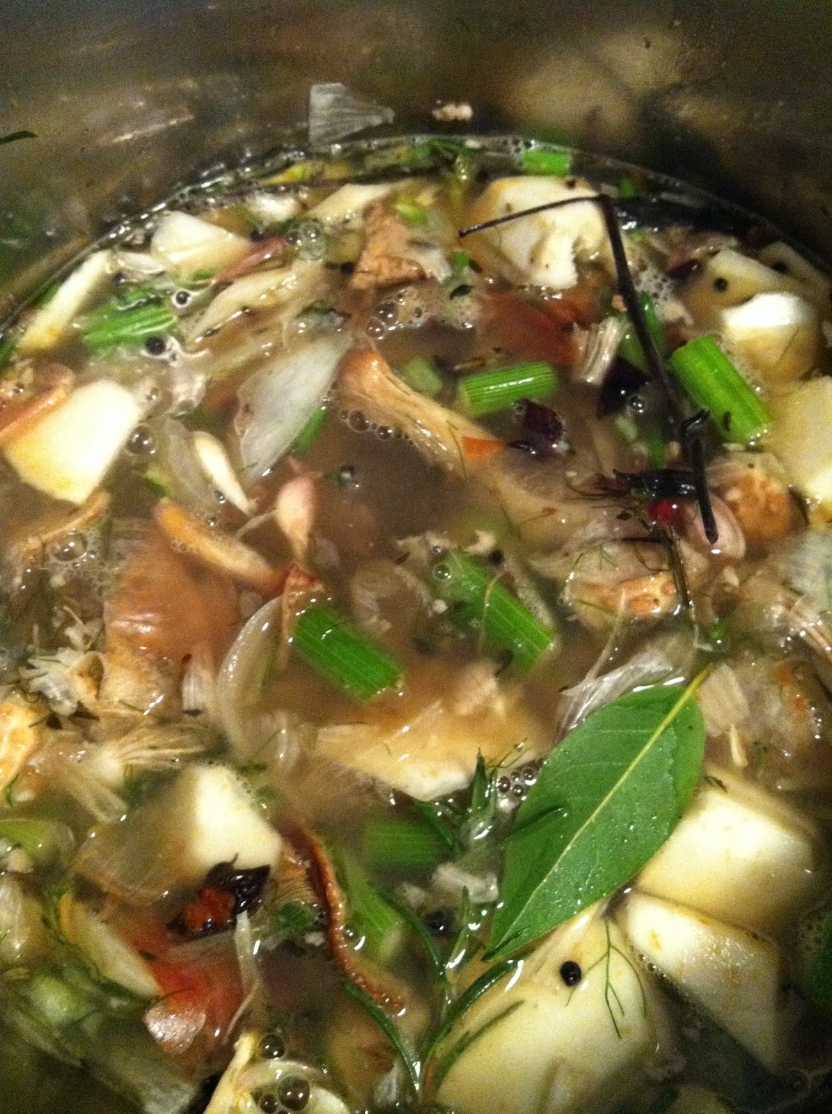 The Curried Cook Rich Dark Chicken Stock