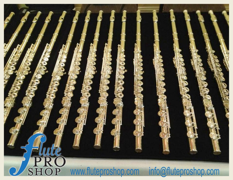 Flute Pro Shop The Blog NEW!!! Flute Pro Shop Skype Consultations