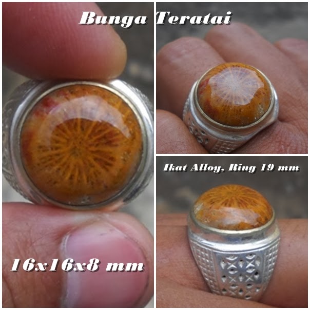 Pesona Batu Akik Bga13 Sold Batu Gambar Bunga Teratai pesona batu akik bga13 sold batu gambar bunga teratai