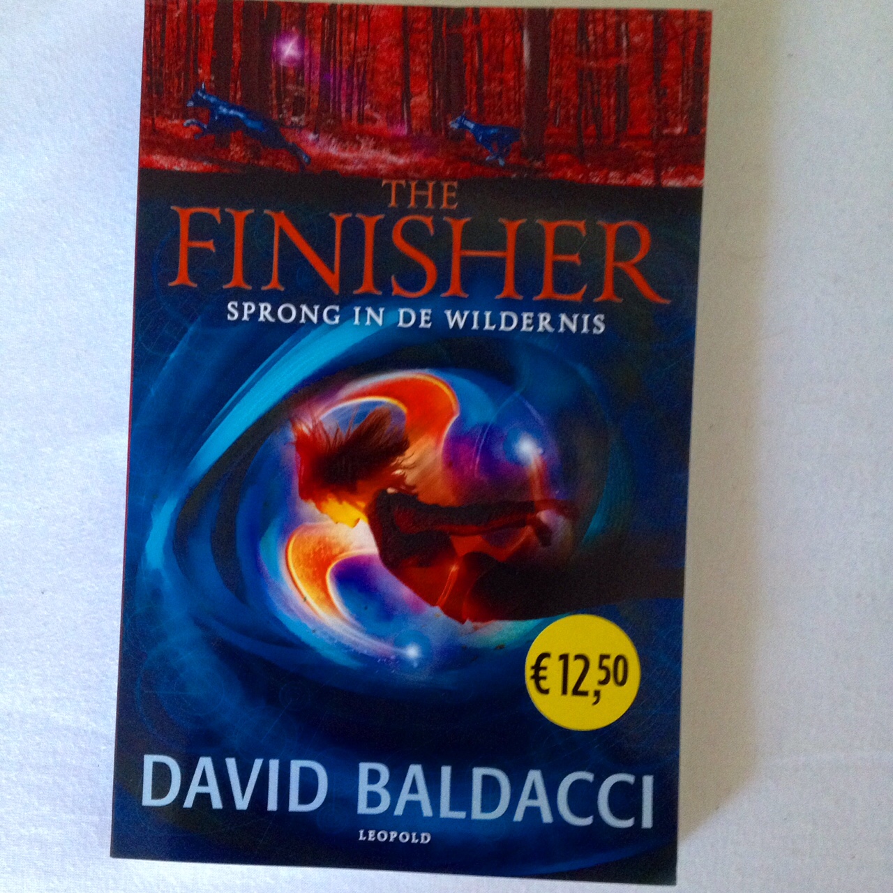 MyPerfectBookLife WINNAAR The Finisher 2 David Baldacci