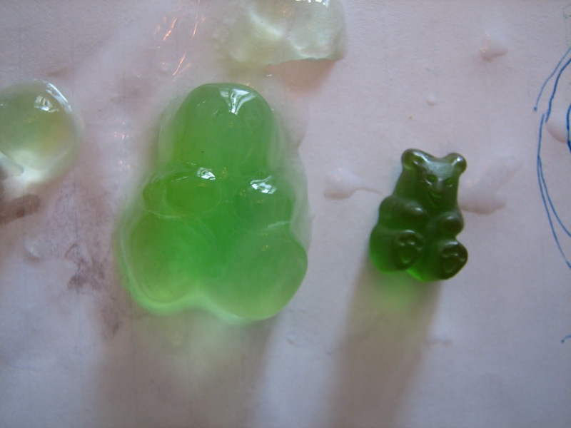 E is for Explore! Growing Gummy Bears