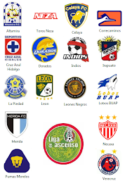 Liga de Ascenso