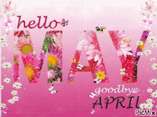 *HELLO  MAY!