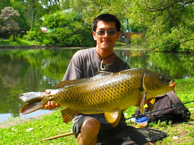 [Image: Actinopterygii_Cypriniformes_Cyprinidae_...4_post.jpg]