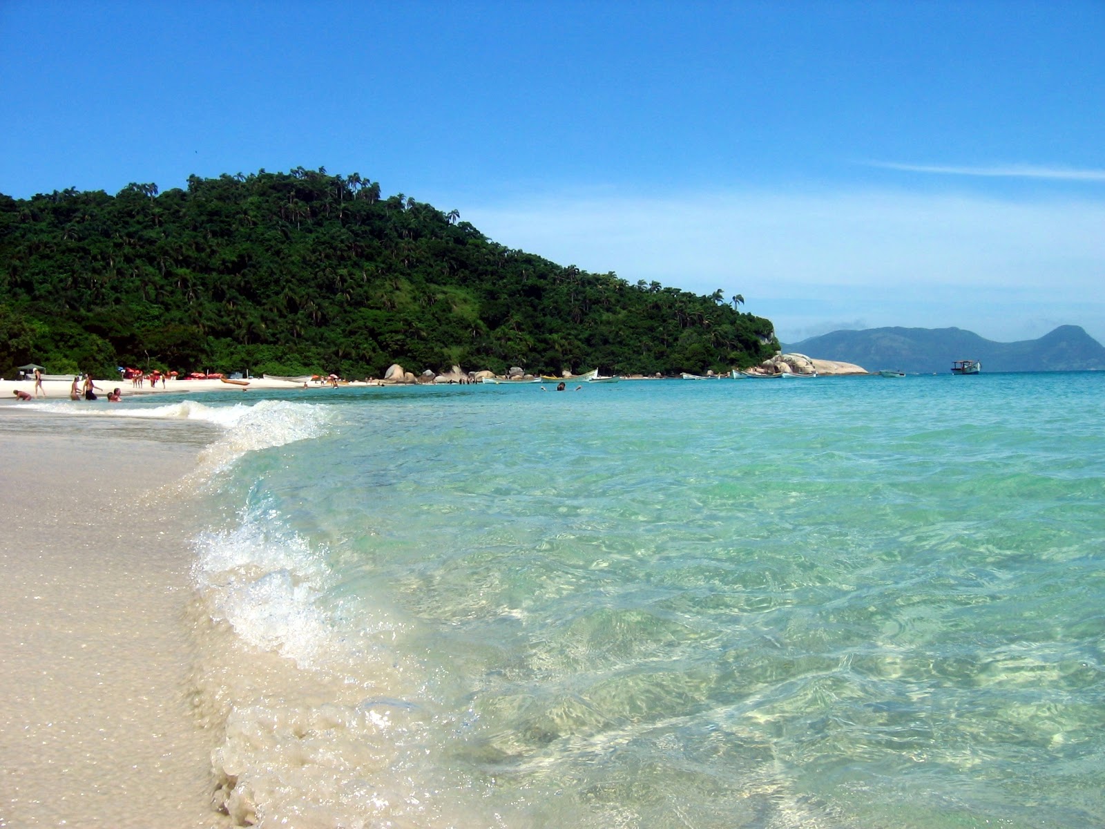 FOTO DEL DIA ILHA DO CAMPECHE