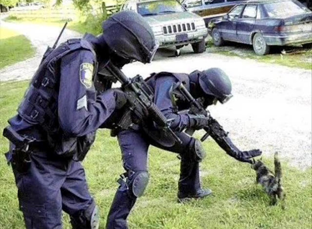 Gambar Lucu dalam Dunia Militer Gambar Lucu dalam Dunia Militer