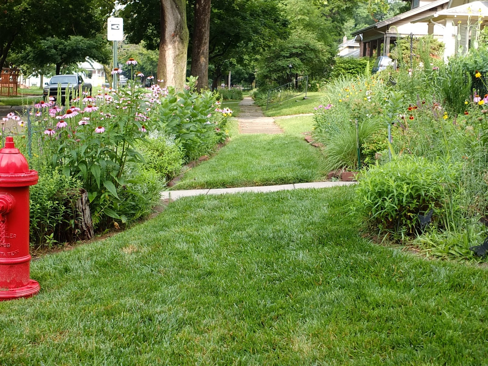 The Garden On The Ridge January 2018