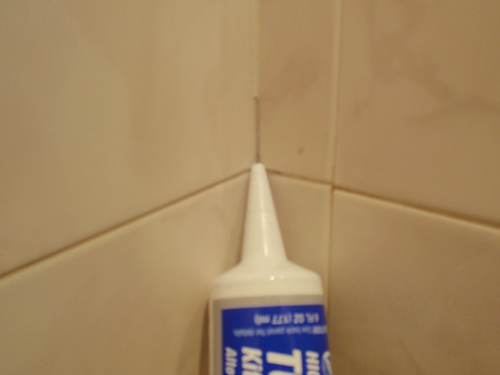 DIY by Design How to Recaulk a Shower